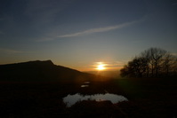 Sonnenuntergang beim 'Hexenbaum' Weiterdingen, Februar 2020