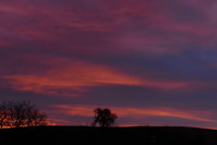 Morgenrot am Erbsenbhl Weiterdingen, Februar 2020