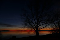 Sonnenaufgang im Seeburgpark Kreuzlingen, Februar 2020