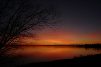 Sonnenaufgang / Morgenrte im Seeburgpark Kreuzlingen, Februar 2020