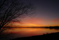 Sonnenaufgang / Morgenrte im Seeburgpark Kreuzlingen, Februar 2020