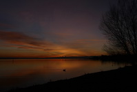Sonnenaufgang / Morgenrte im Seeburgpark Kreuzlingen, Februar 2020