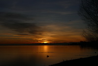 Sonnenaufgang im Seeburgpark Kreuzlingen, Februar 2020