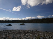 Am Binningersee, Februar 2020
