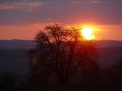 Sonnenuntergang Weiterdingen, April 2020