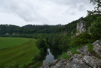 Bei der Teufelsbrcke im Donautal, Juni 2020