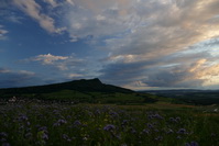 Blumenwiese vor dem Hohenstoffel im Abendrot, Juli 2020