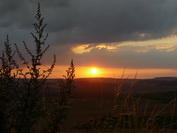 Sonnenuntergang in Hegaulandschaft, Juli 2020