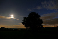 Nachtaufnahme: Vollmond bei Duchtlingen, August 2020