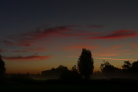 Morgenrot im leichten Bodennebel bei Hausen an der Aach, August 2020