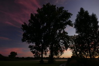 Morgenrot im leichten Bodennebel bei Hausen an der Aach, August 2020
