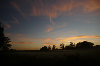 Morgenrot mit leichten Bodennebel bei Hausen an der Aach, August 2020