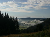 Frhnebel im Schwarzwald bei Bernau, September 2020