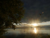 Sonnenaufgang beim Seeburgpark Kreuzlingen, September 2020