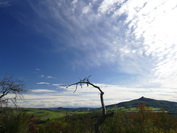 Skuriler Baum und Hohenstoffel, fotografiert vom Hohenhewen, Oktober 2020