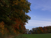 Bunter Herbstwald am Tanneberg/Hegau, Oktober 2020