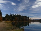 Riedsee bei Hfingen, unter Schleiherwolken-Himmel, November 2020