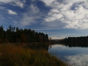 Riedsee bei Hfingen, unter Schleiherwolken-Himmel, November 2020