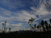 Wald und Hohenstoffel unter Schleiherwolkenhimmel, Beuren am Ried, November 2020
