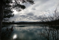 Weihnachtsspaziergang am Binningersee, 2020