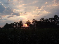 Sonnenaufgang bei Hausen an der Aach