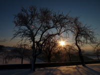 Winterlicher Sonnenaufgang im Hegau