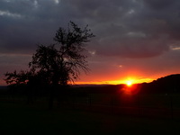 Sonnenaufgang im Kraichgau