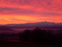 Morgenrot ber den Hegaubergen, im Hintergrund die Alpen